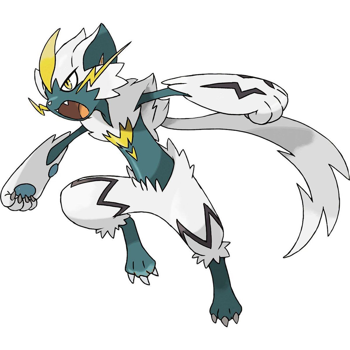 Daily Zeraora tweet media
