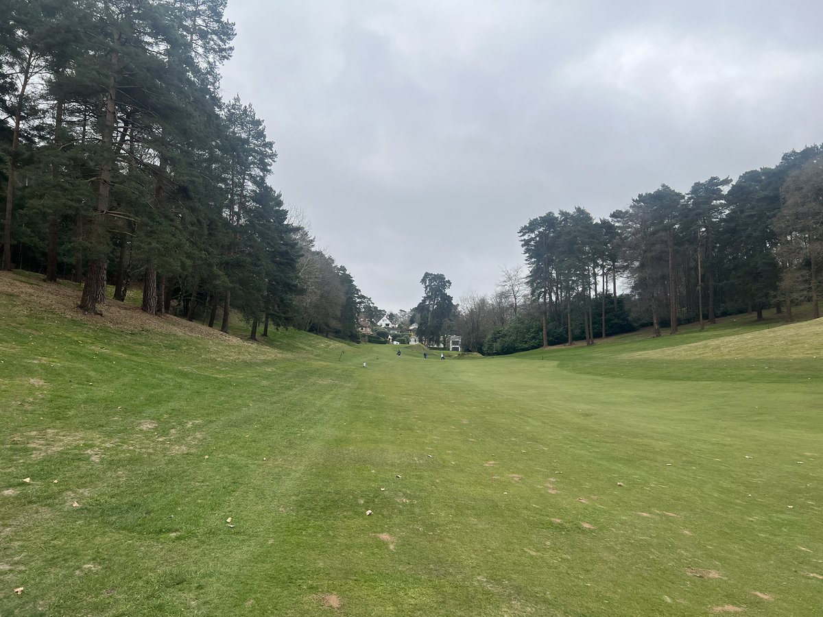 Gavin Speedie tweet media