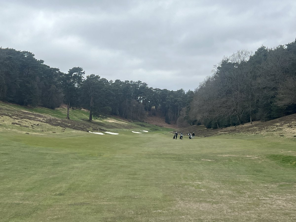 Gavin Speedie tweet media