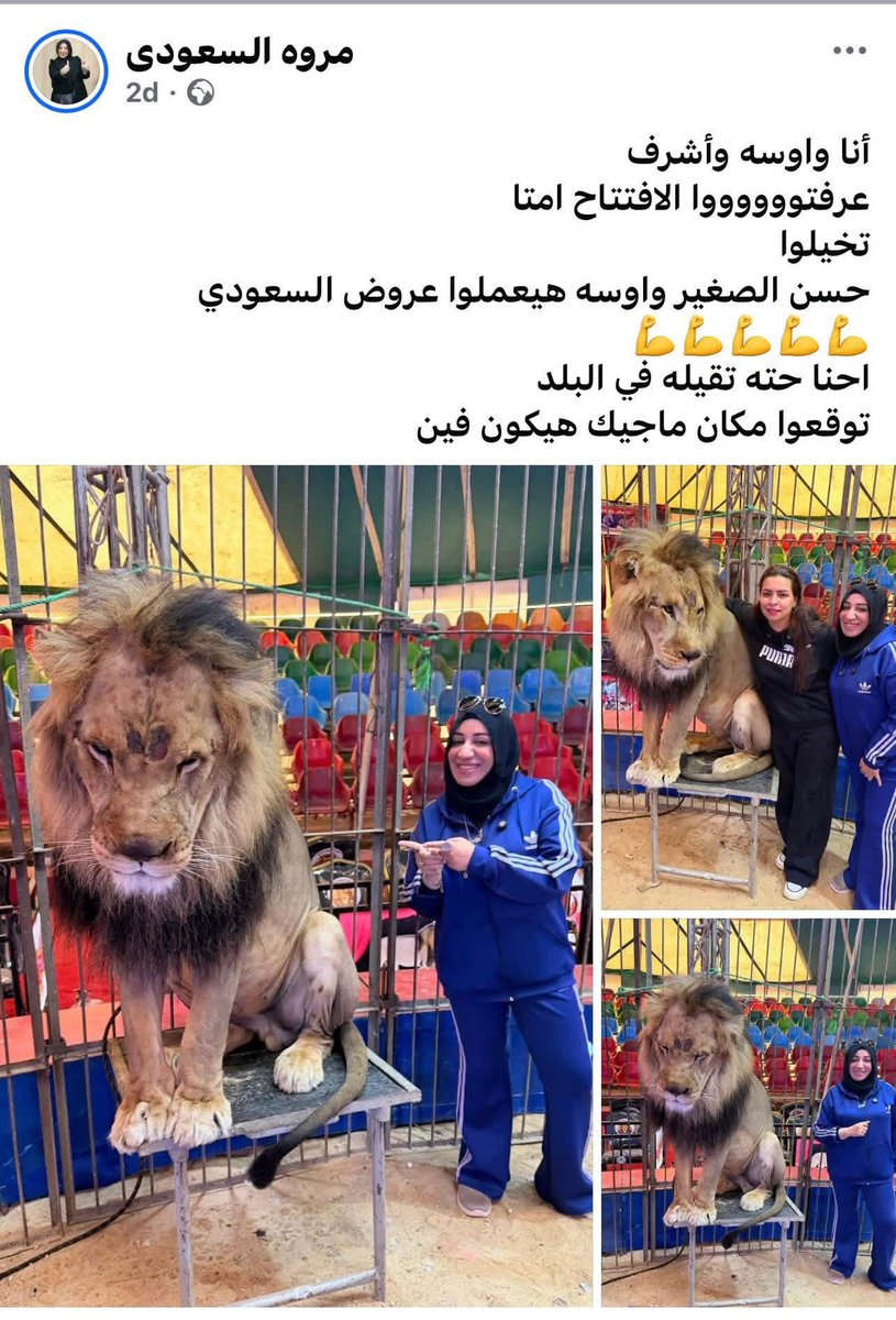 🇱🇧 سالي | Sally tweet media