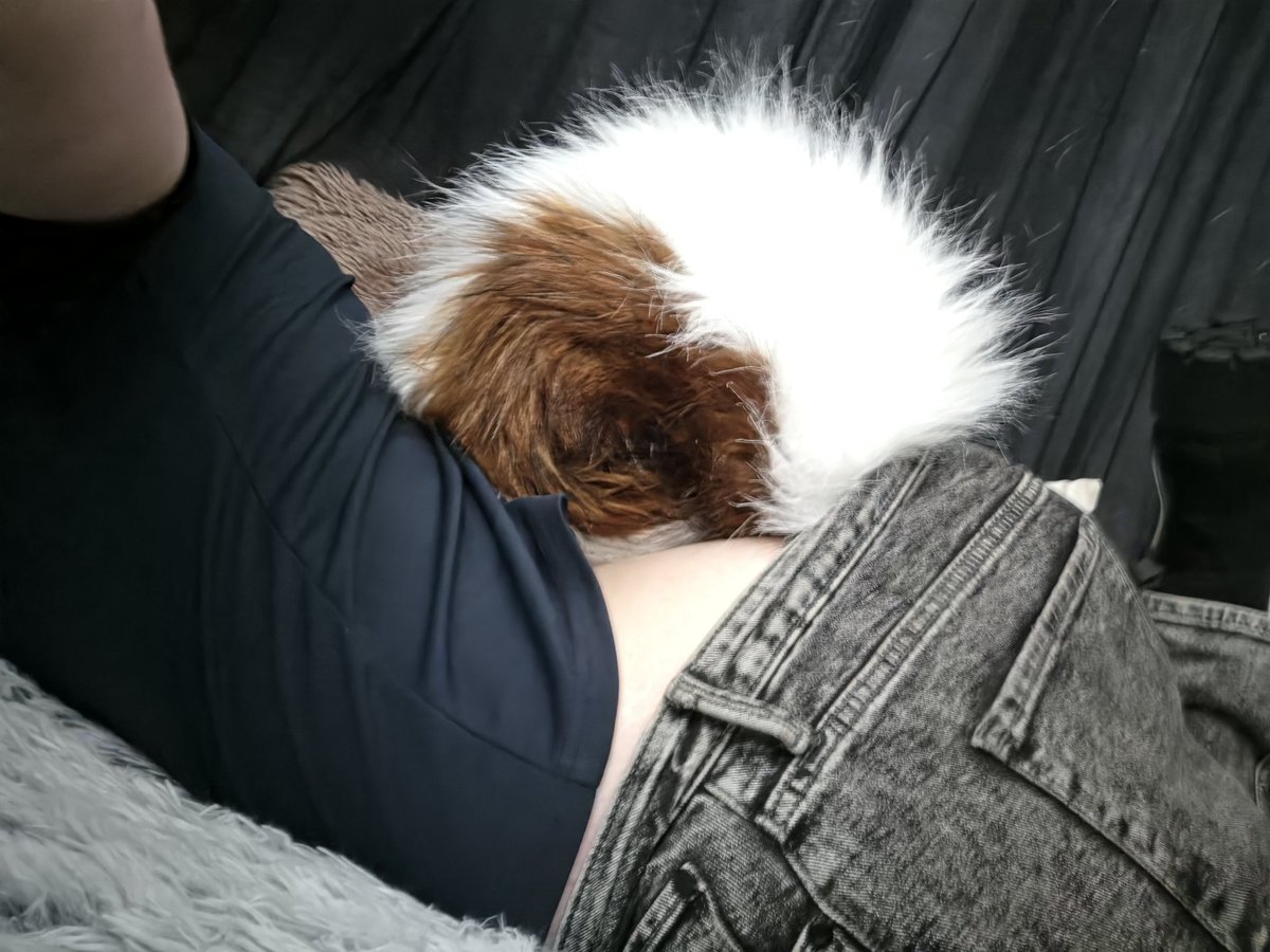 Ren's TFs tweet media