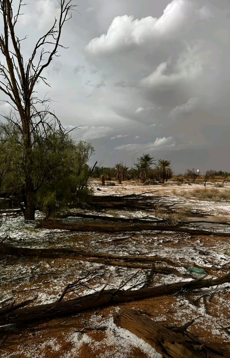 غلا العبدالله 🇸🇦 🇰🇼 صاحب tweet media