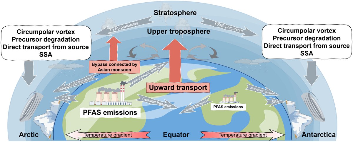 ScienceAdvances's tweet image. A new study explains how forever chemicals known as #PFAS have infiltrated once-pristine Antarctica. scim.ag/4rBfn1P