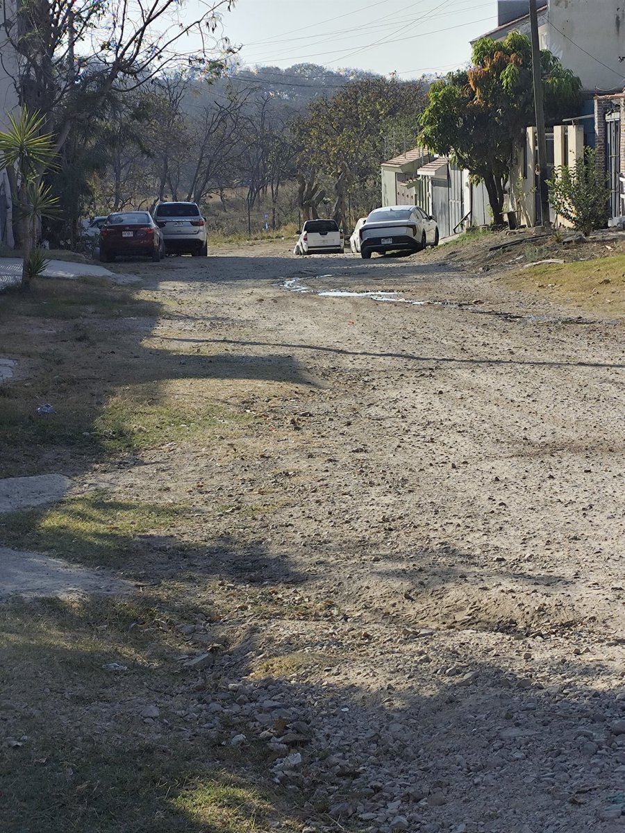 Comité en defensa del bosque El Nixticuil tweet media