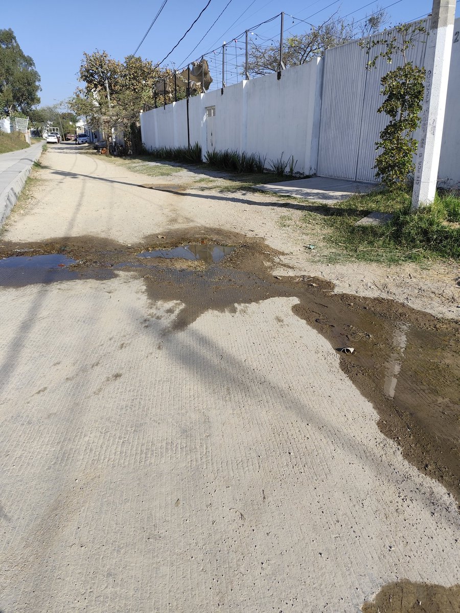 Comité en defensa del bosque El Nixticuil tweet media