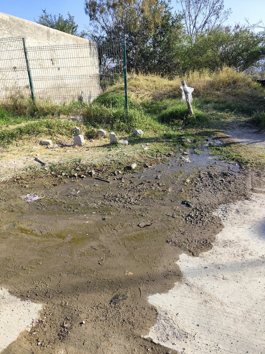 Comité en defensa del bosque El Nixticuil tweet media