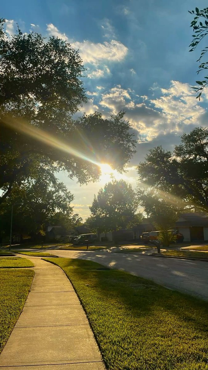 Victoria Rogers tweet media