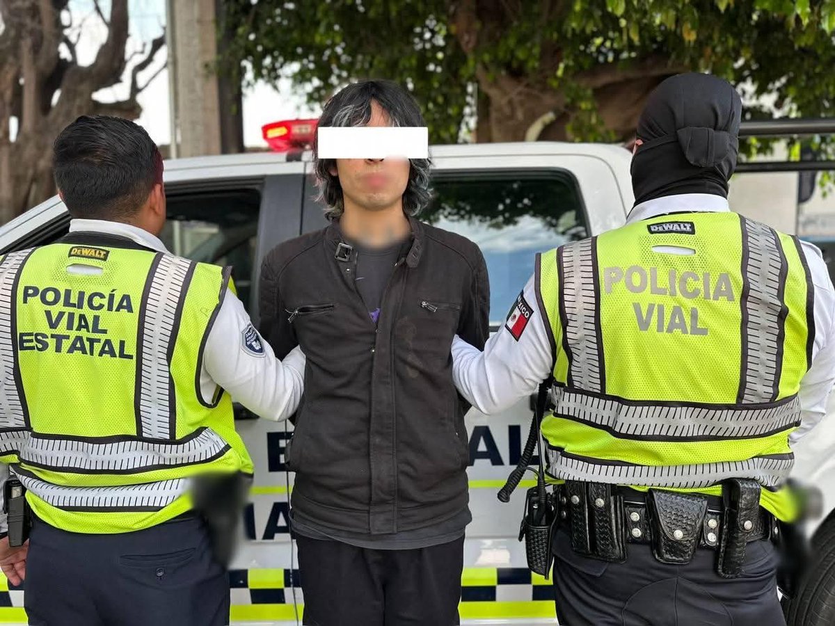 Desprogramador Cerebral 🧠 tweet media