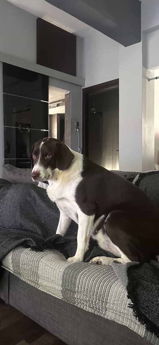 Ο Πρίγκιπας Πάνας 🇬🇷🇫🇮🇷🇸 tweet media