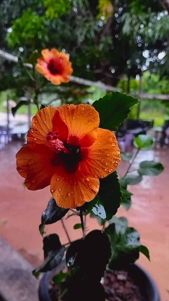 💫🦋༆𝓶𝓪𝓻𝔂𝓵𝓵𝓪༆🦋💫 tweet media