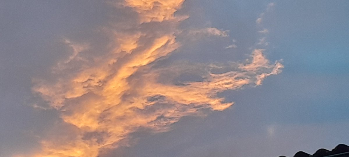 Pascalpatam ♋️ tweet media