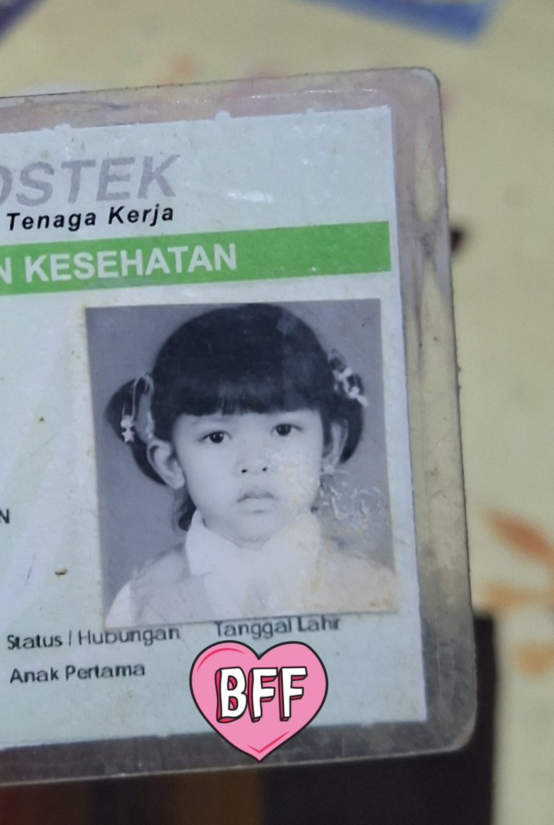 Hydrangea tweet media