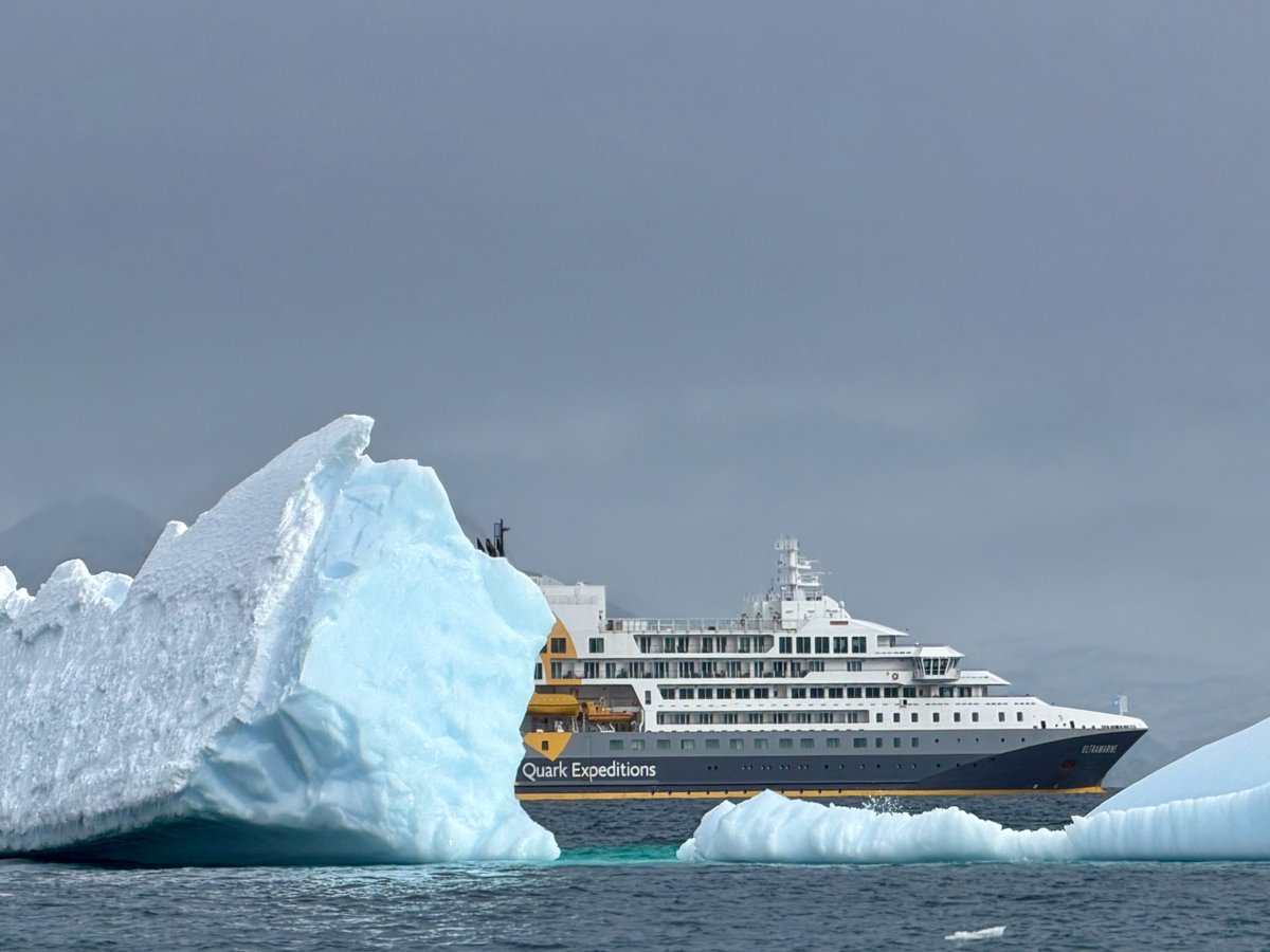 SueQuelch tweet media