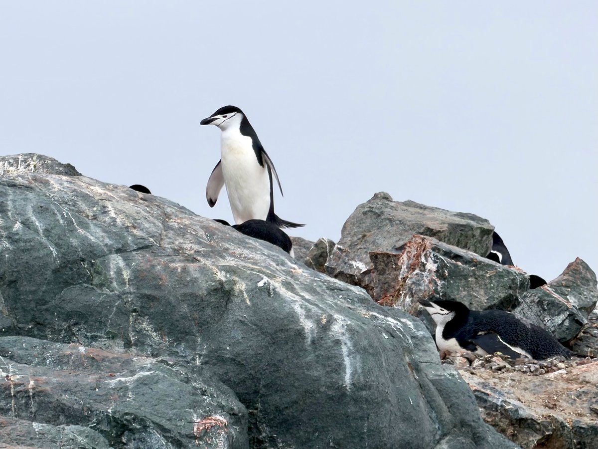 SueQuelch tweet media