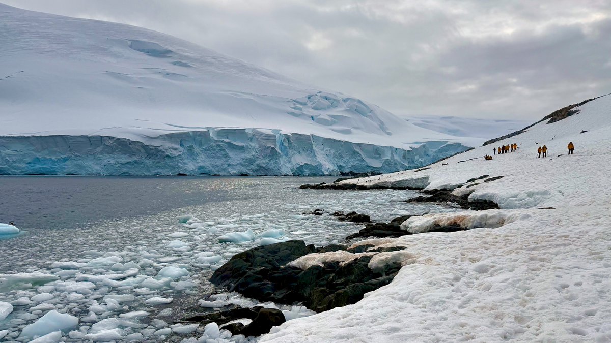 SueQuelch tweet media