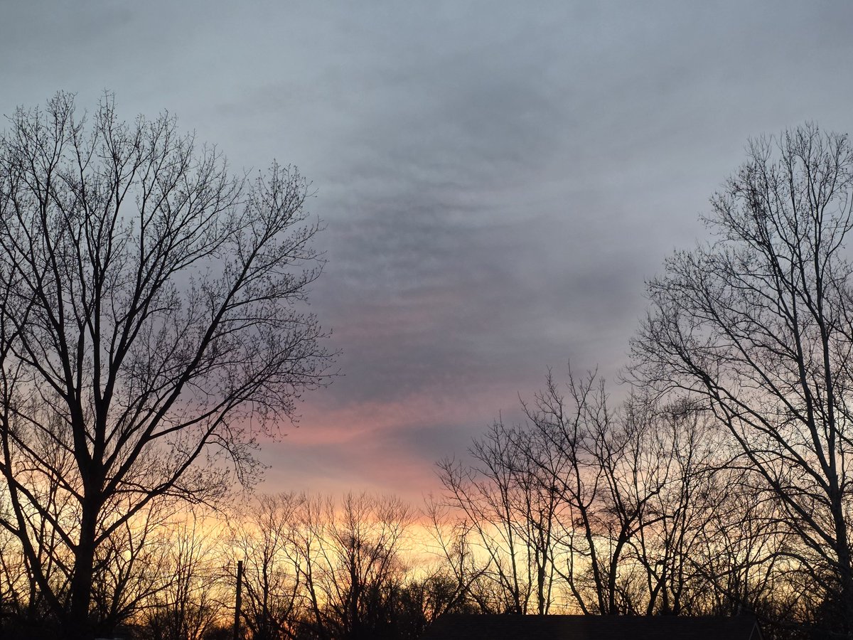 Becky Chapman tweet media