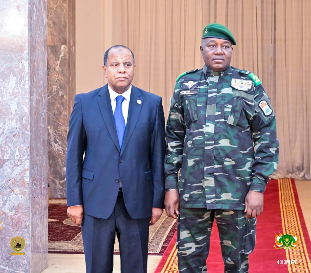 Niger Fr tweet media