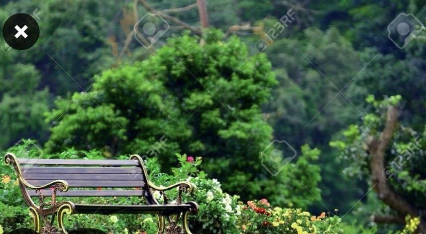 حمد القاضي tweet media