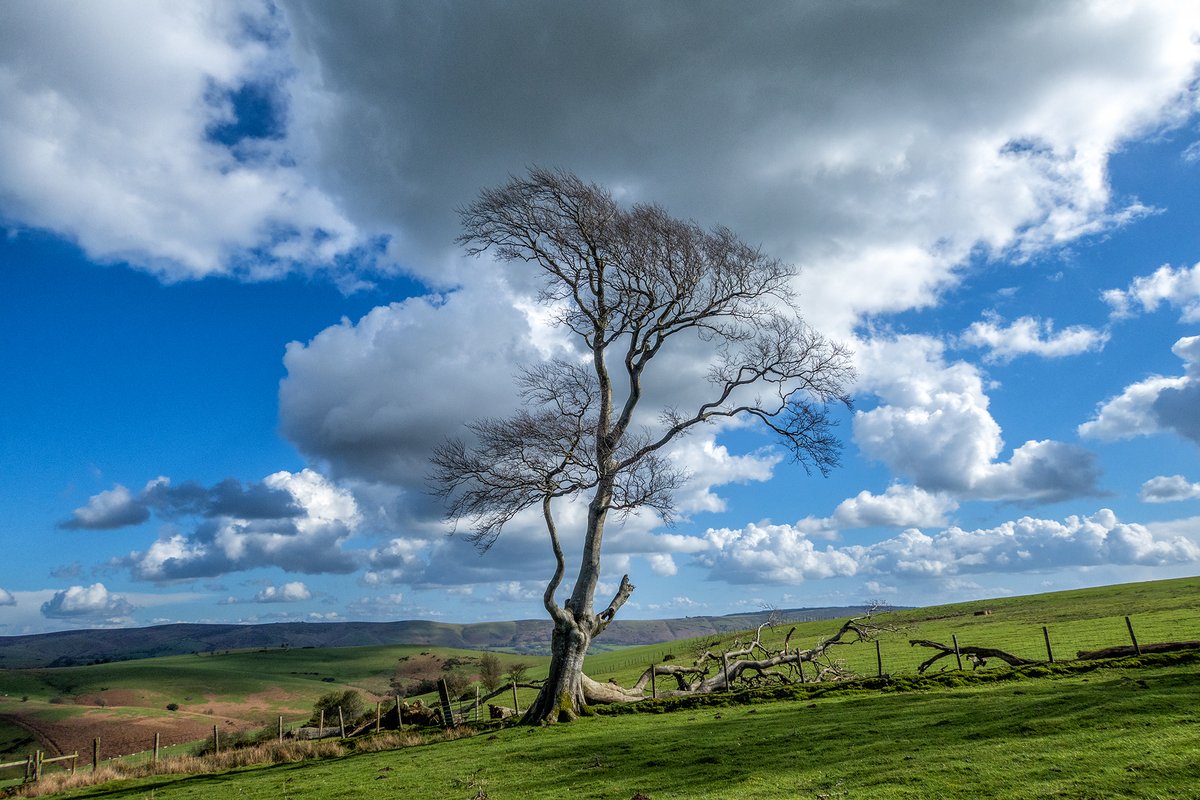 Ian Wright tweet media