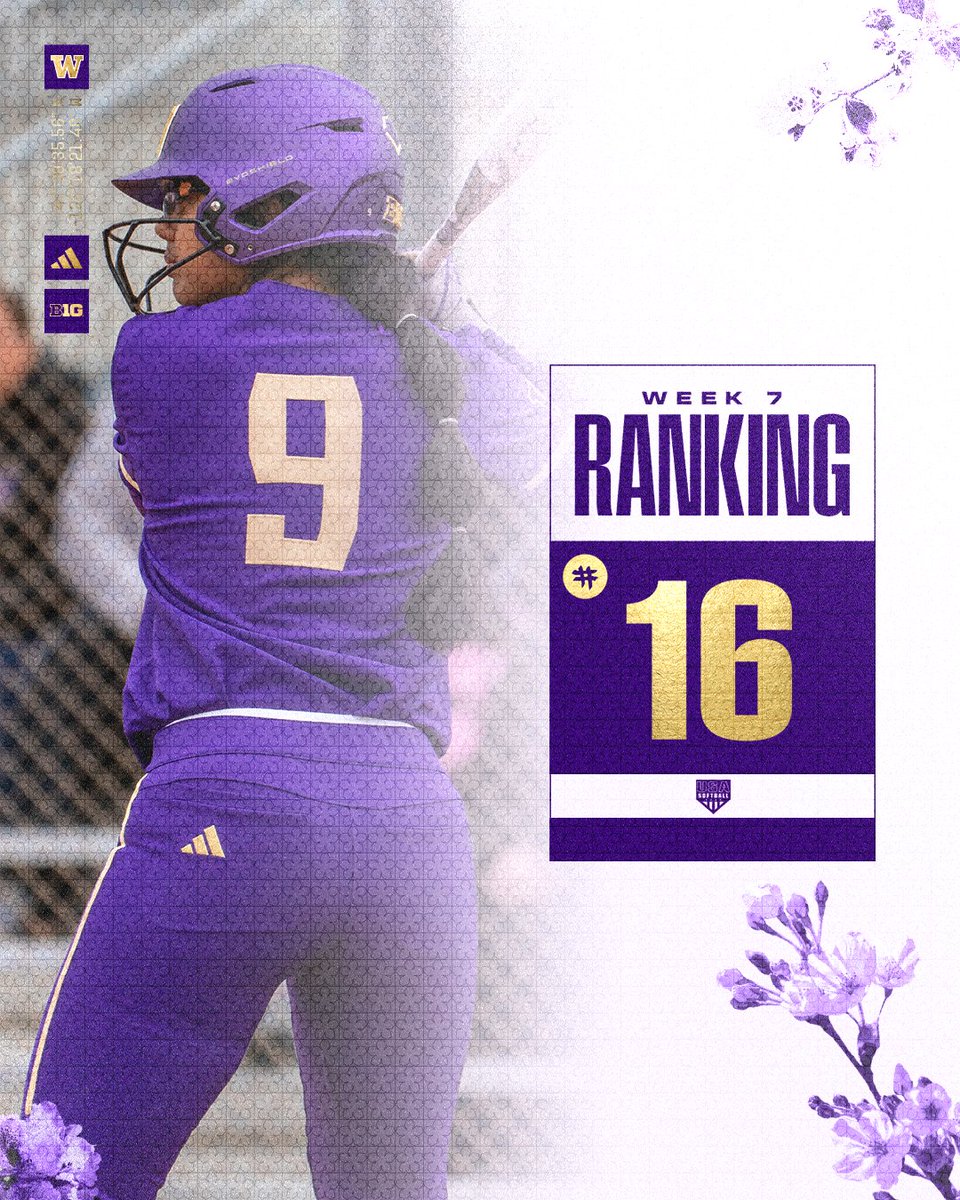 Washington Softball tweet media