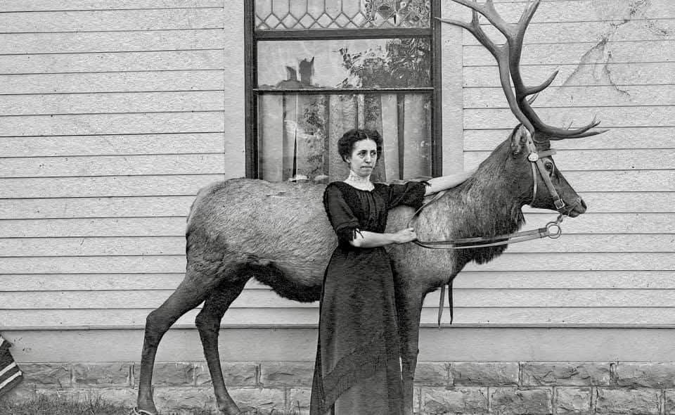 Cyborg Puppy tweet media