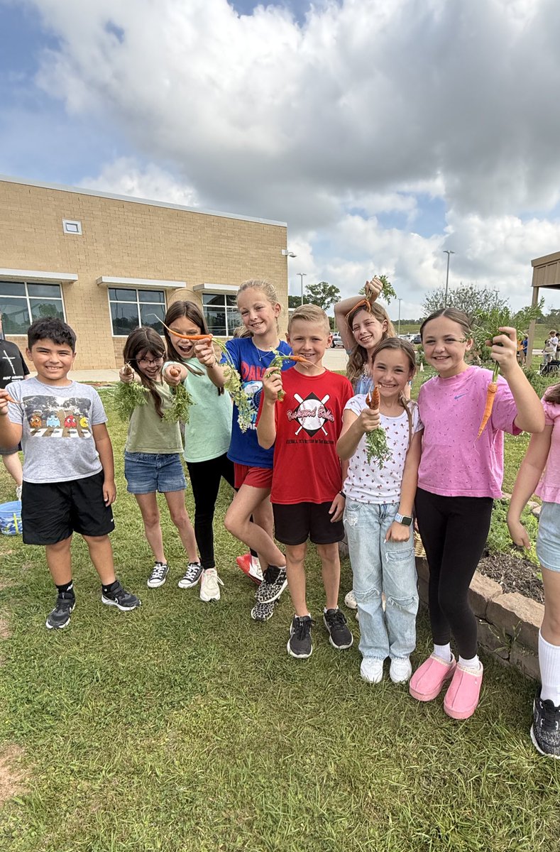 Kara Wolf tweet media