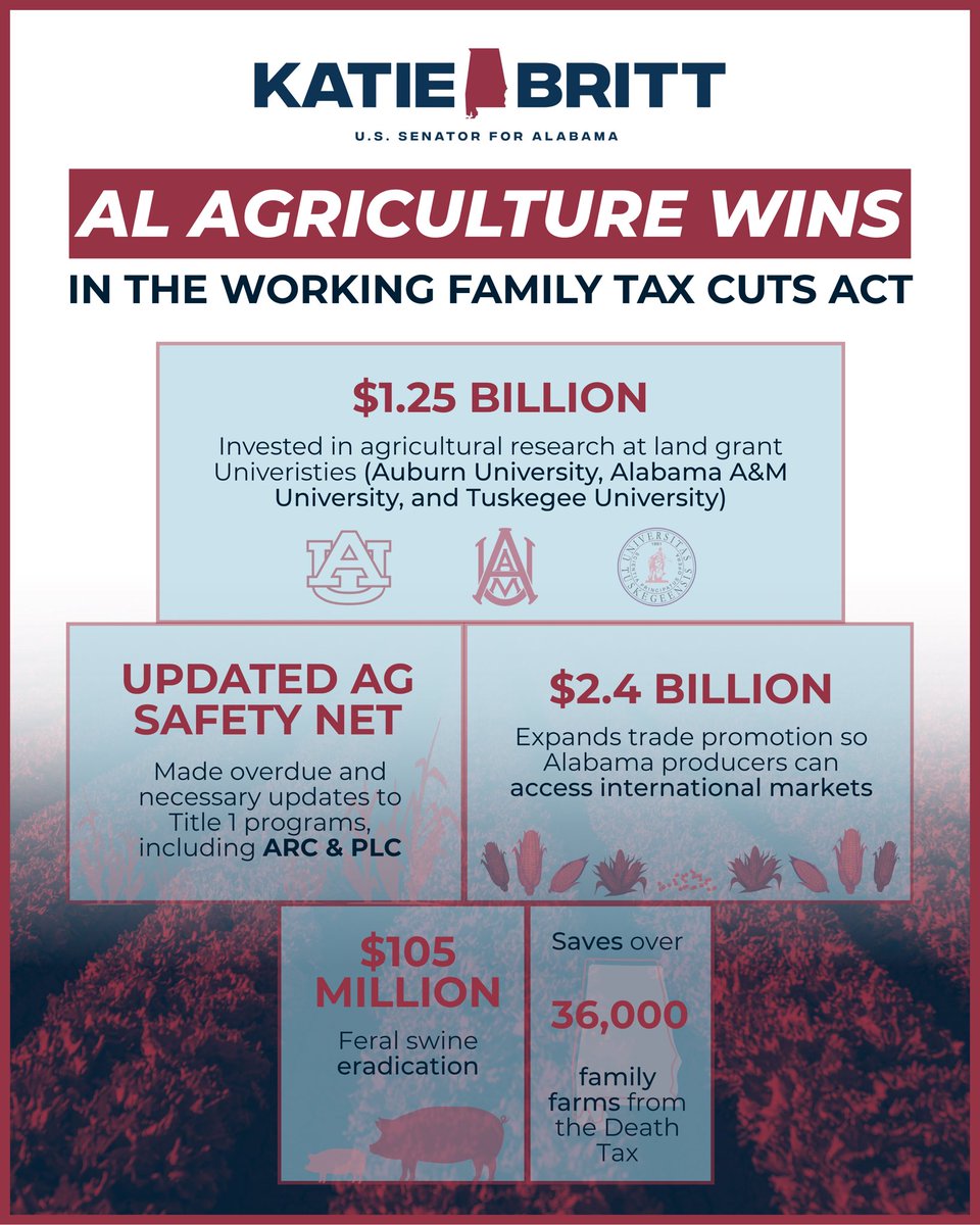 Senator Katie Boyd Britt tweet media