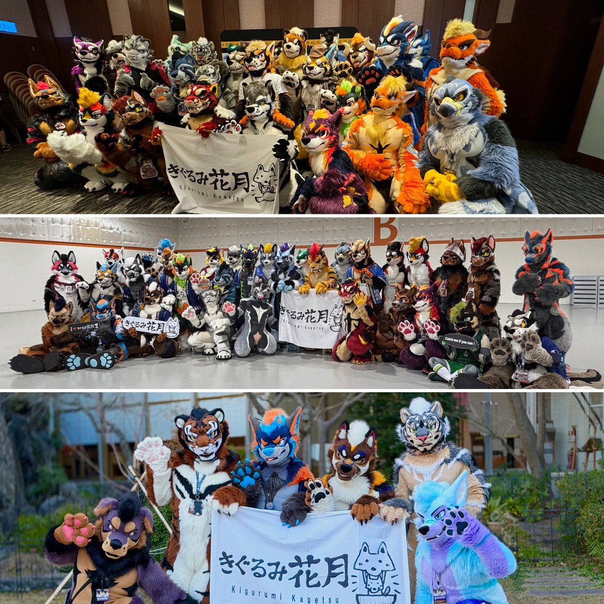 ヤスノブ⭐︎Navix🔜OFFF2026 tweet media