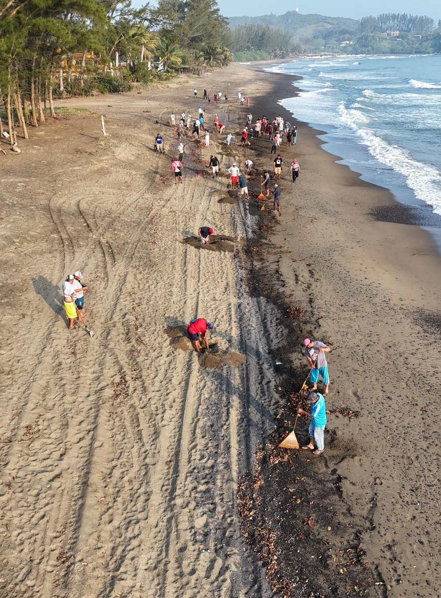 El Universal tweet media