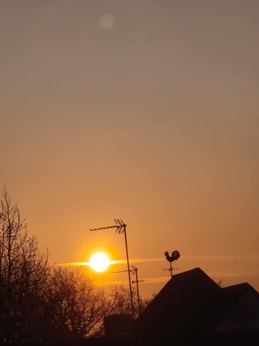 la manita 😇🍀🦁 tweet media