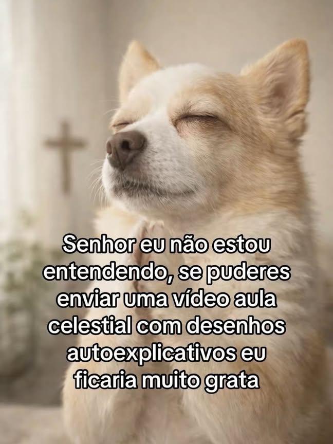 EudaisioSilva's tweet photo. tentando entender minha vida https://t.co/LHHnLKUgIc