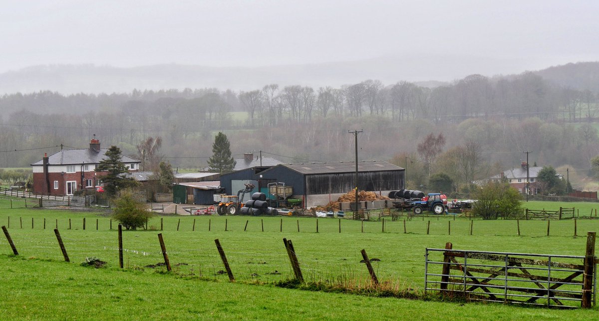 Mick ☯️☮🕉📚📷🌈🕊️☕🌍 tweet media