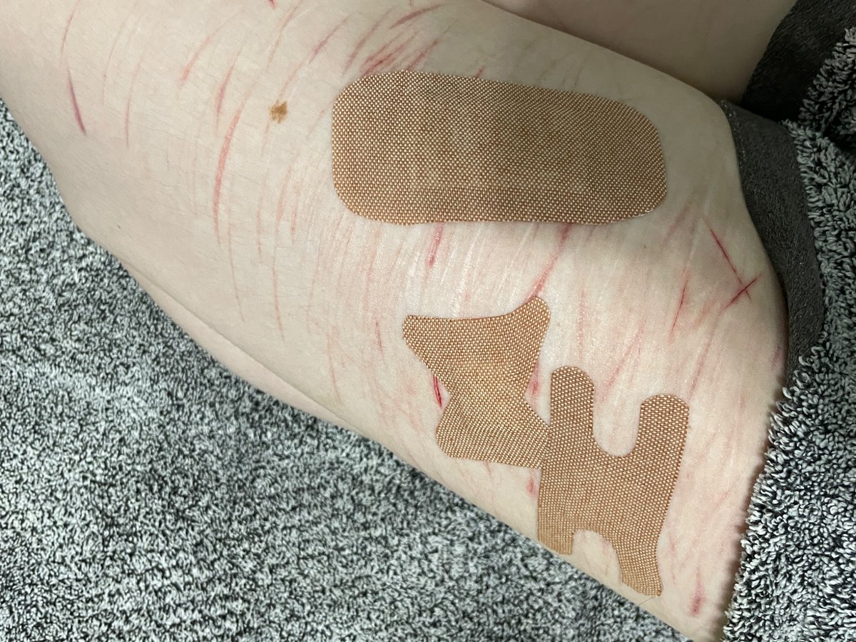 ᴍᴀʀᴢ ᴏғ sʜᴇᴅᴛᴡᴛ! tweet media