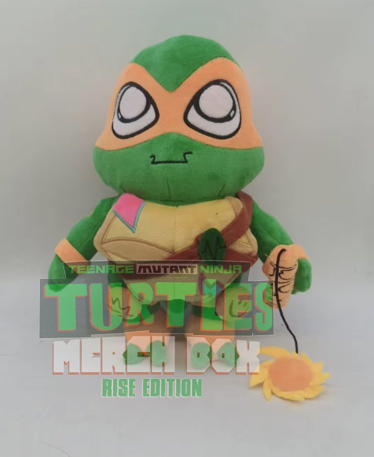 TMNT Merch Box - Rise Edition tweet media