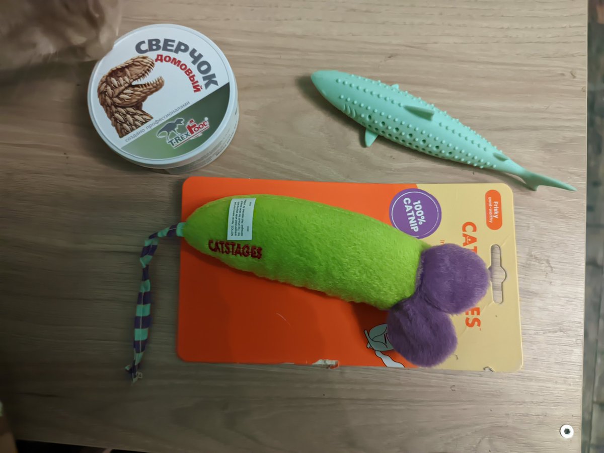 enflöra ☮️ #НетВойне #NoToWar #NãoÀGuerra tweet media