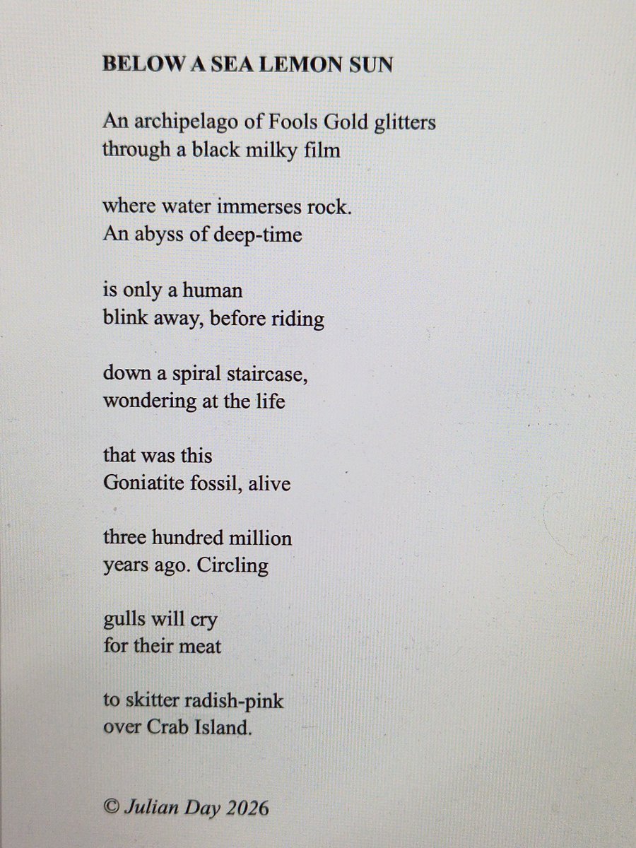 Julian Day tweet media