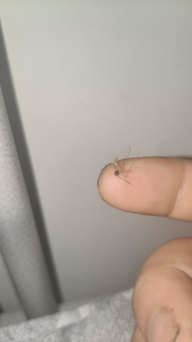 半路出家 tweet media