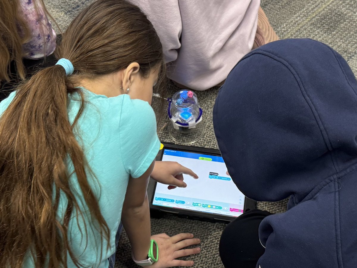 Steve Matthews tweet media