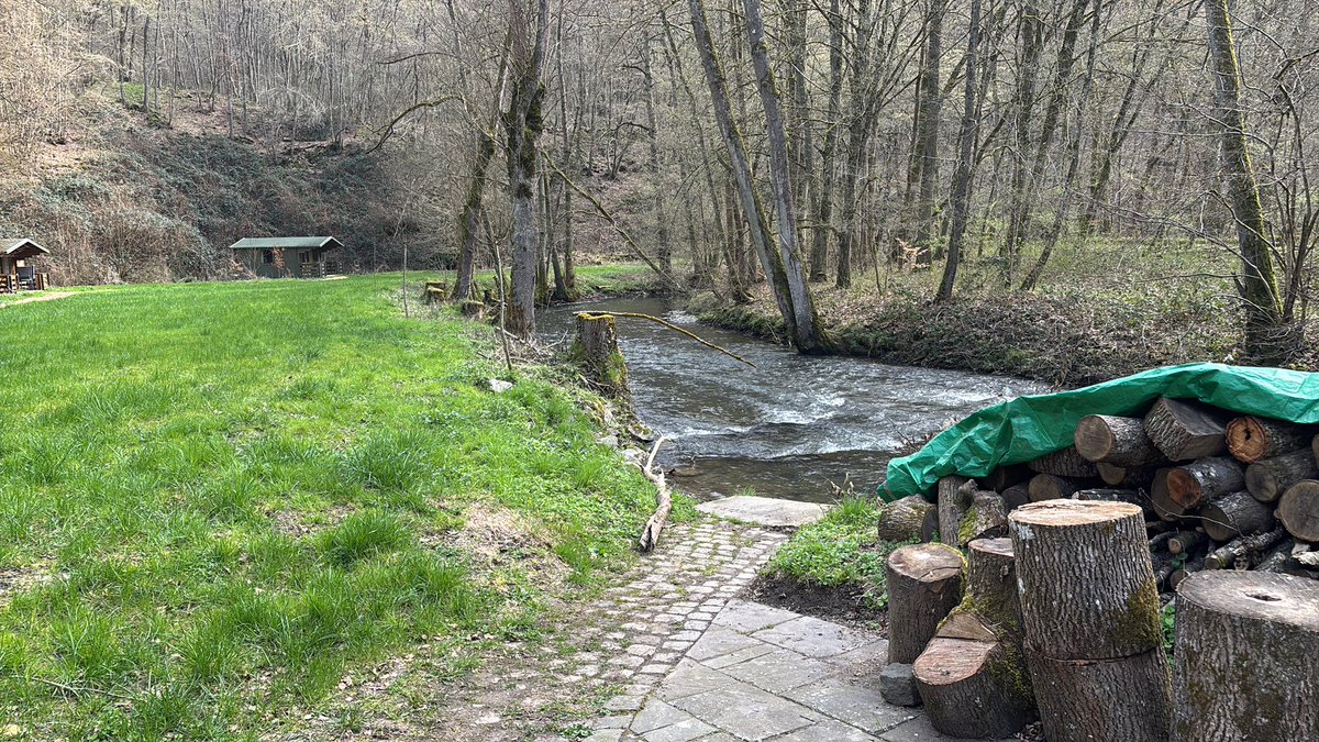 Erwin Prop 🇱🇧 🇺🇳❤️🖤 tweet media