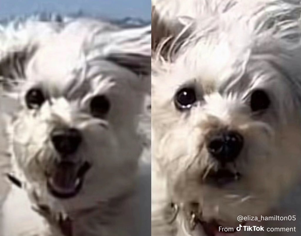 specs 🤓 tweet media