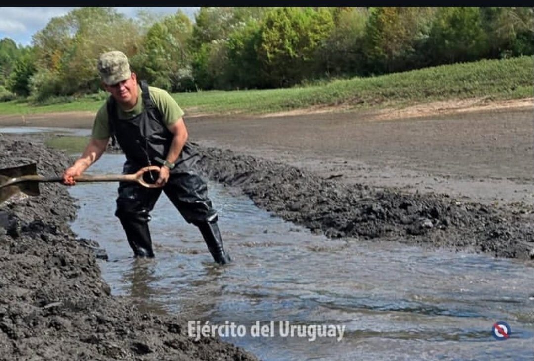 Juntos somos mas tweet media