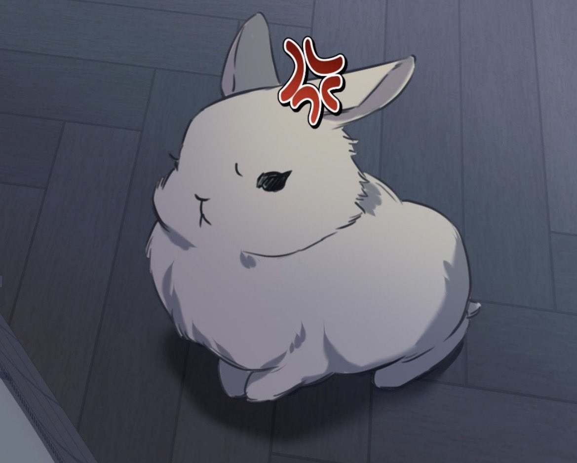 rhys🐾 tweet media