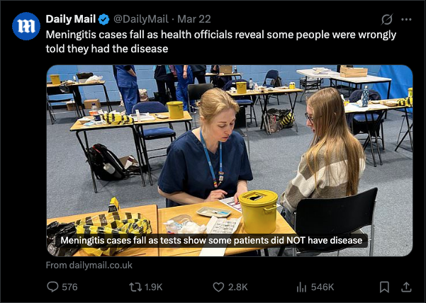 Lulu Bowen tweet media