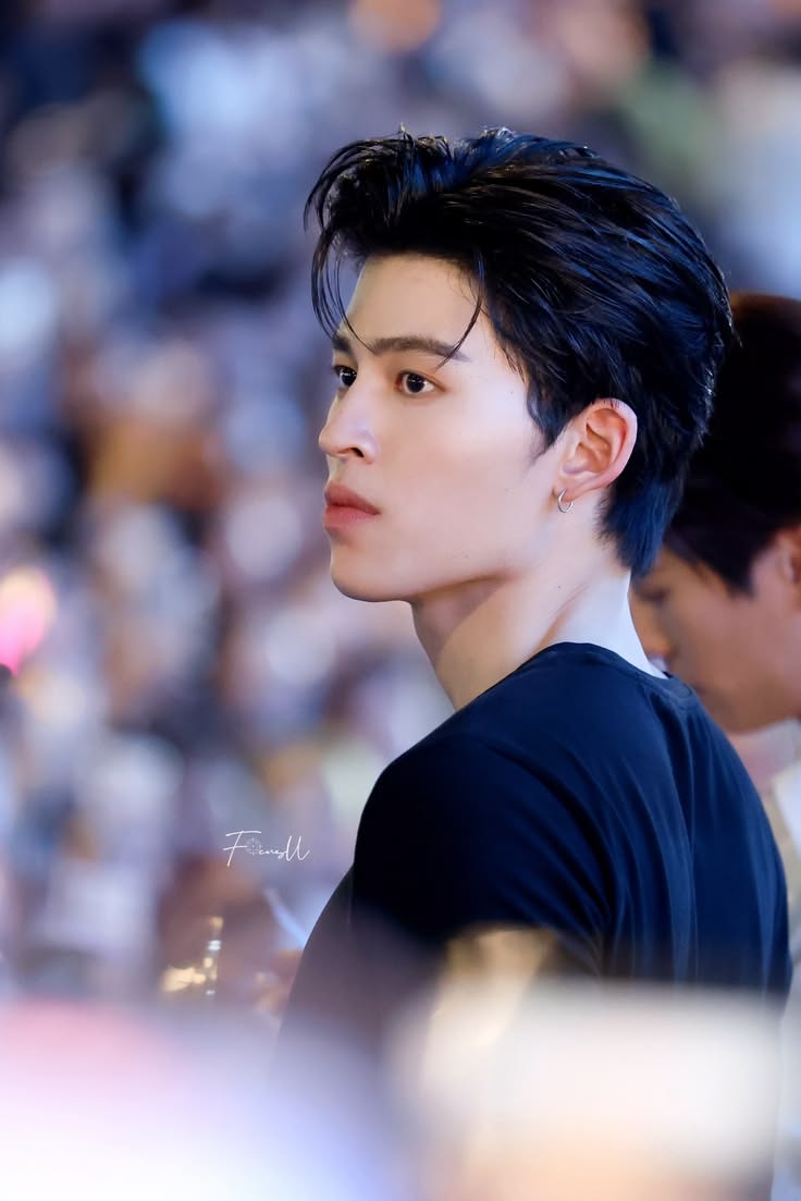 Ann 🐾 - currently trying to update tweet media