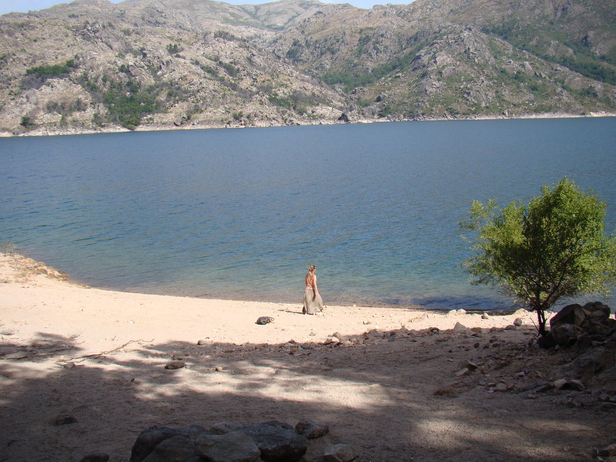 Sandra | Sunshine tweet media