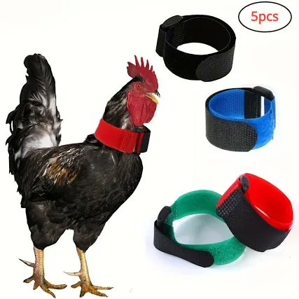 BastianGct's tweet image. Cher #Temu ou #Amazon , on n'a pas besoin de vos colliers anti-chant du coq.
C'est la nature et cela restera la nature.
La ville est une bonne solution pour ne plus les entendre.

@FBB_Officiel @courbet_julien @MaitreGerard 
#animal