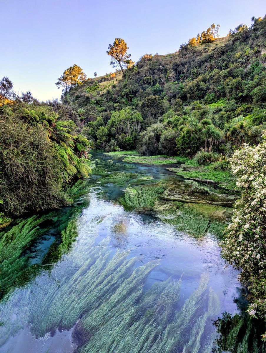 william voyage🧭 tweet media