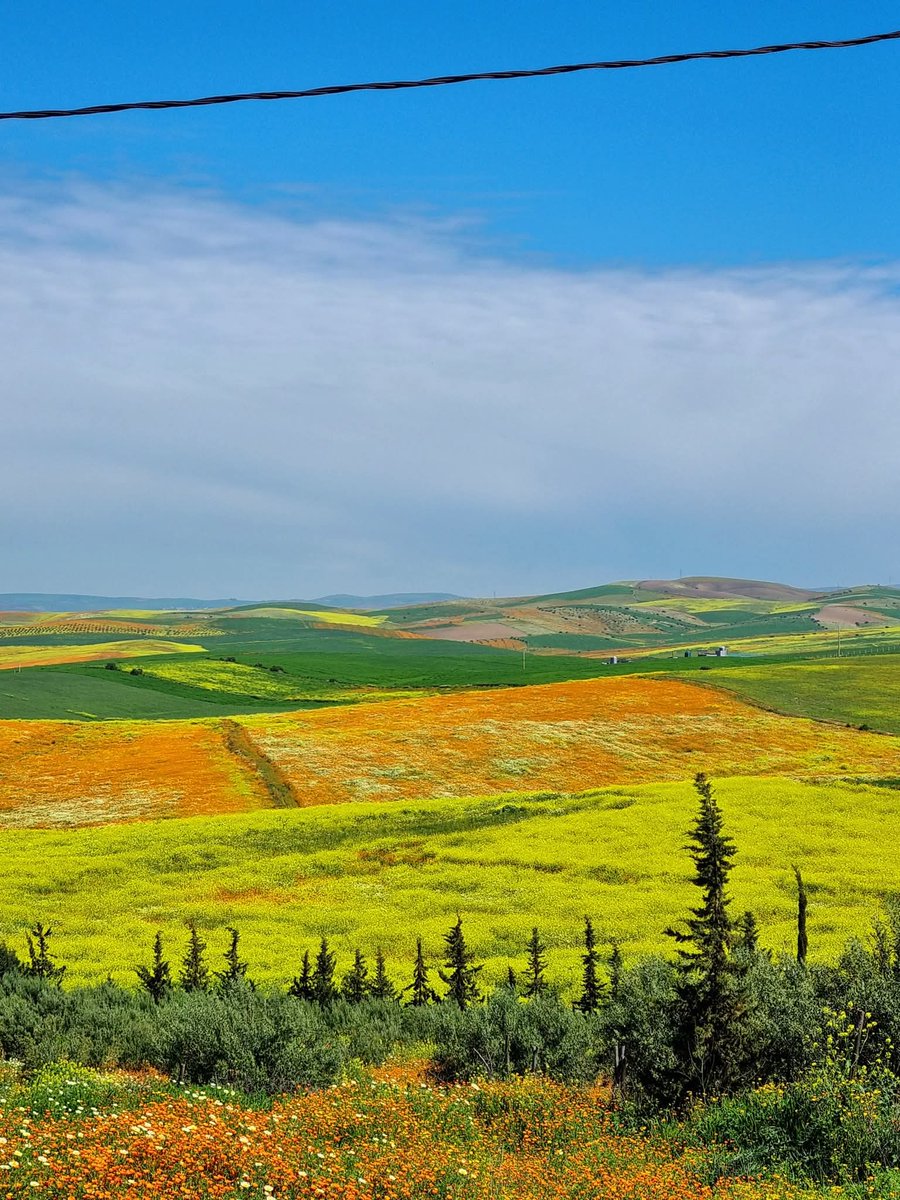 danze 🇲🇦 tweet media