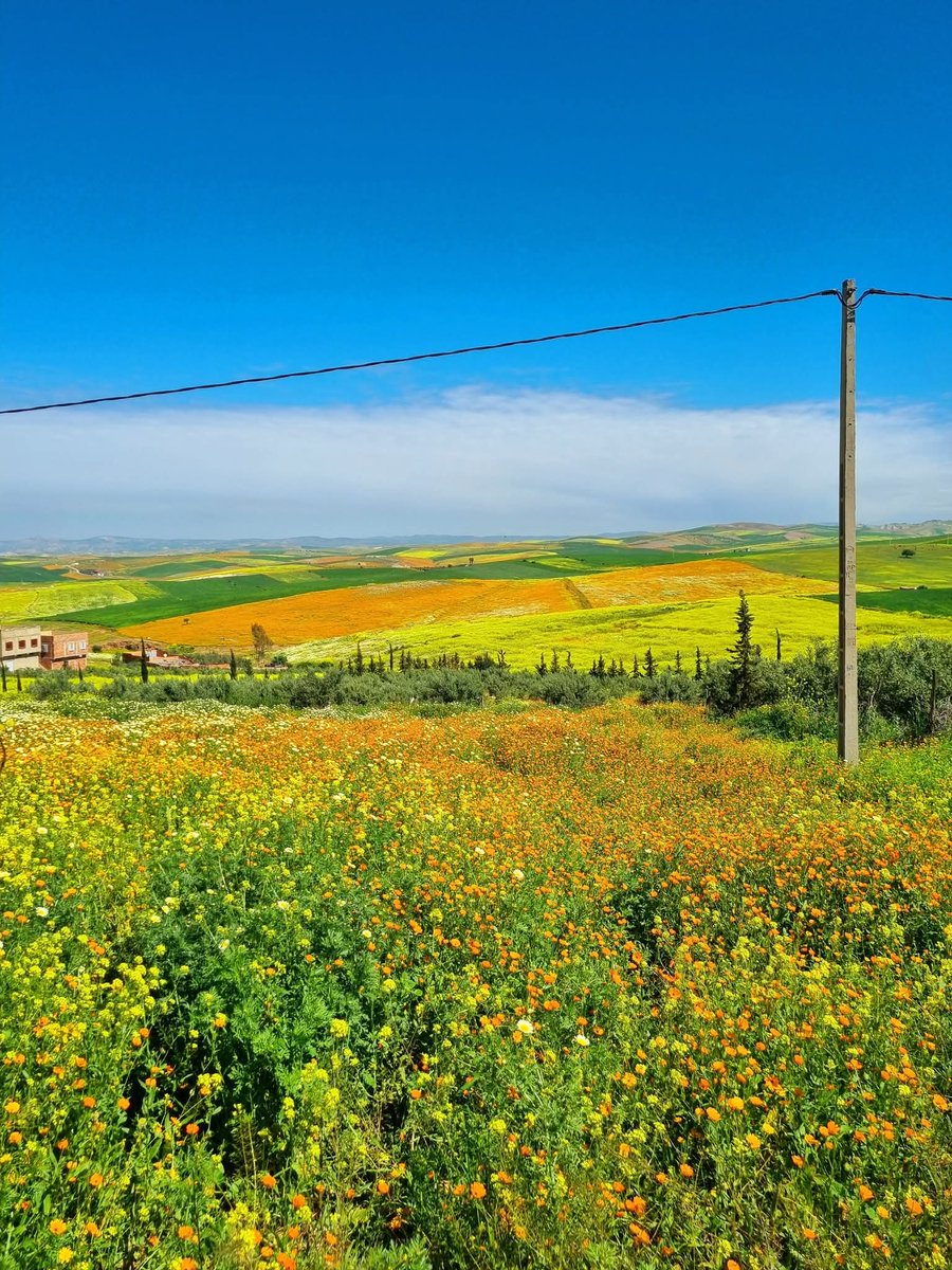 danze 🇲🇦 tweet media