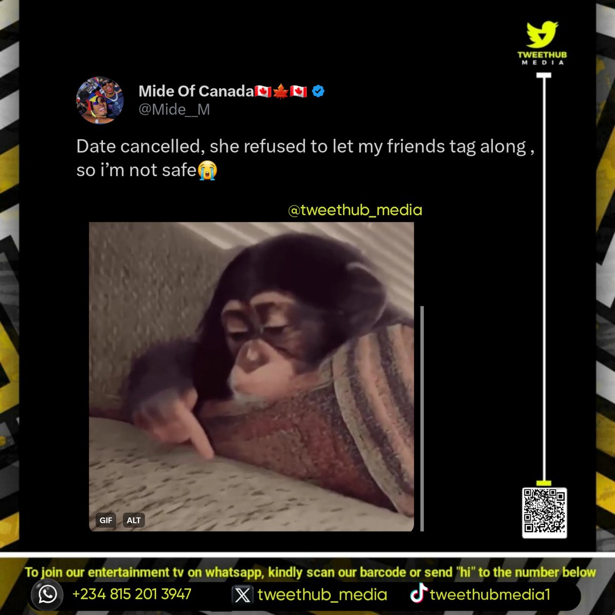 TweetHub Media tweet media